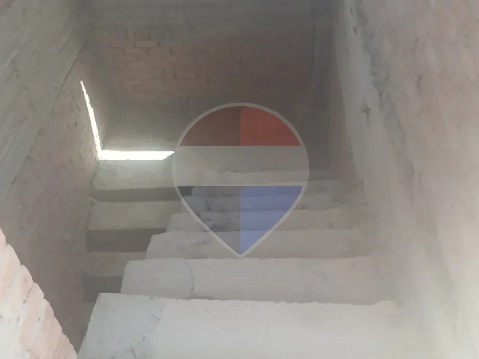 شقة
