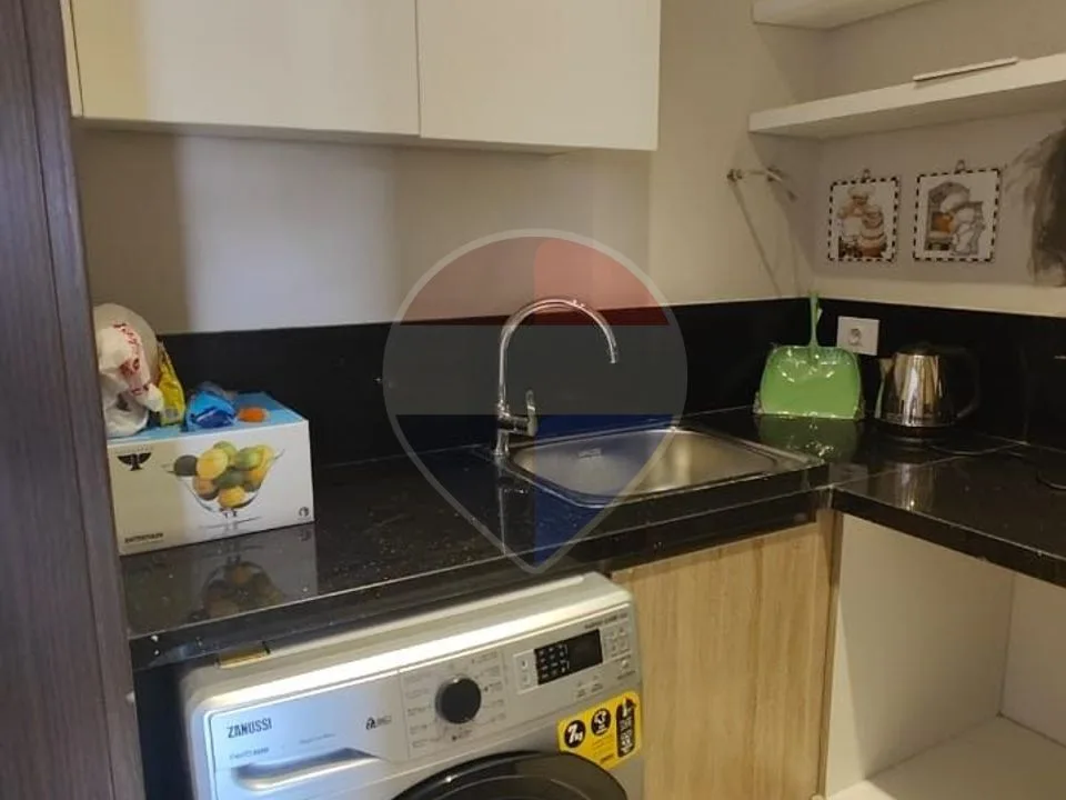 Furnished Apartment For Rent In Zed Park - Zayed