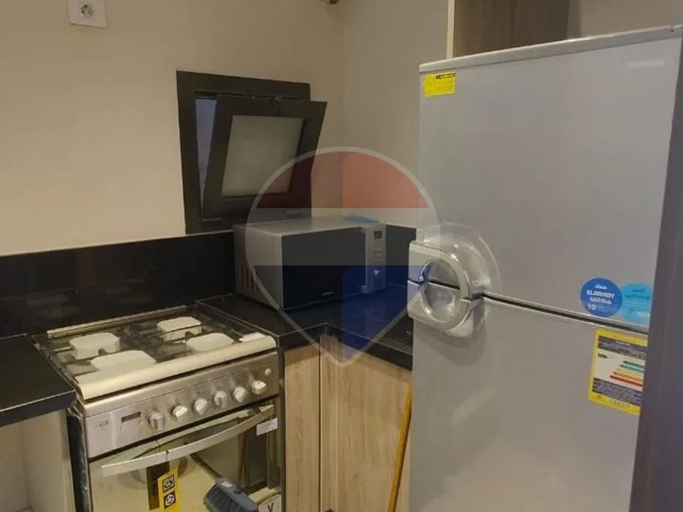 Furnished Apartment For Rent In Zed Park - Zayed